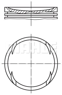 WILMINK GROUP Männät WG1212146